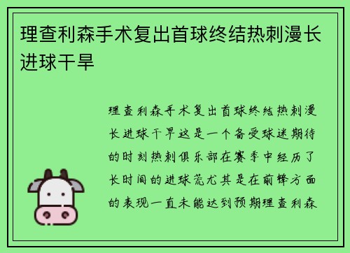 理查利森手术复出首球终结热刺漫长进球干旱